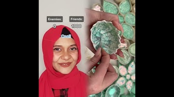 Reply to 0ffici4lblackb3rryc00kie PART 3 #POV you get to see how many friends and enemies you