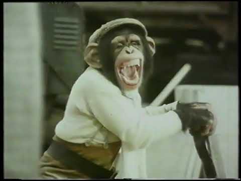 Original VHS Opening: PG Tips - Monkey Business! (UK Retail Tape)
