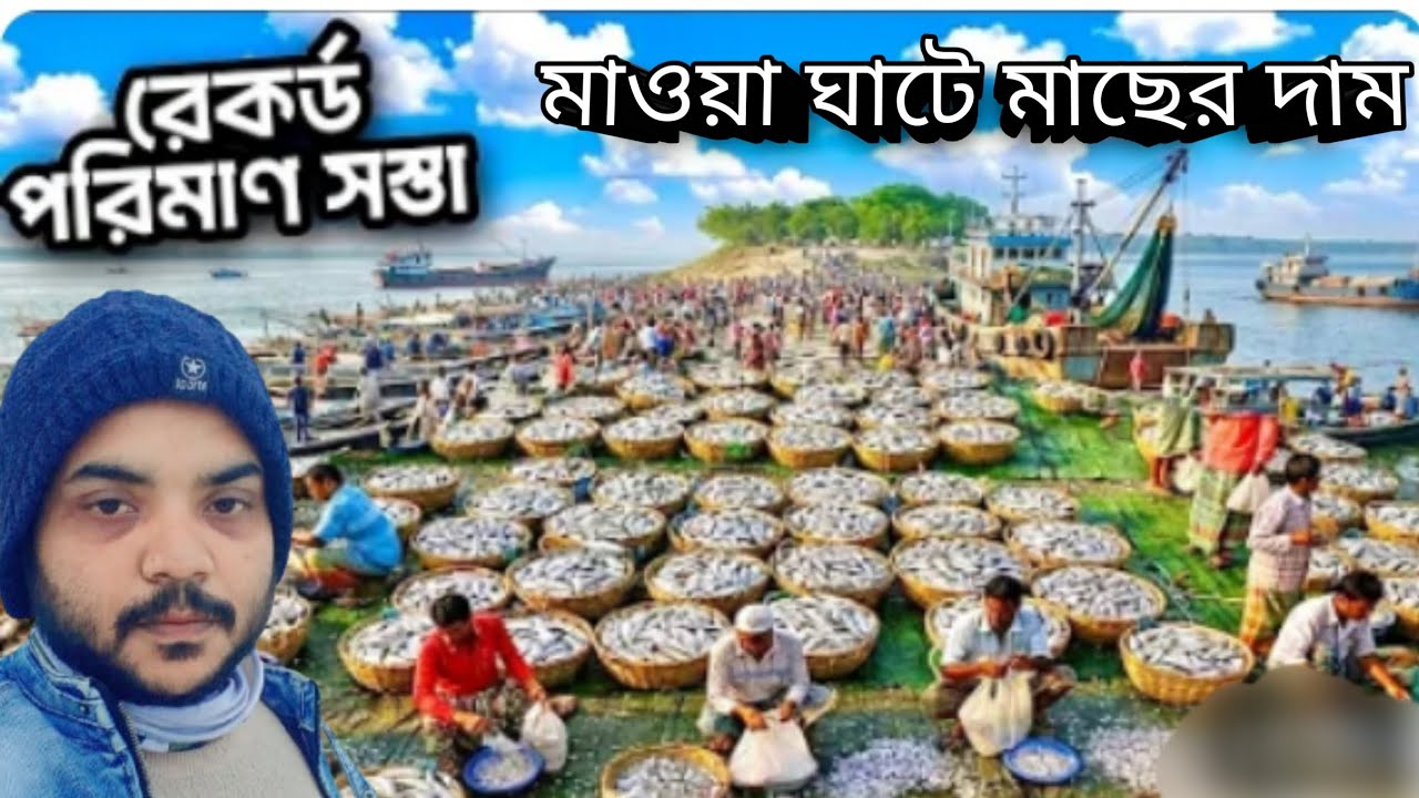 রেকর্ড পরিমান সস্তা সব ধরনের মাছের দাম#viral #fishing #freshwaterfish #fishing 