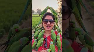 sam v khub hh#exploremore #trendingshorts #nmofficial #explore hindi songs #shortsfeed #viralsong#nm