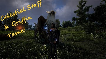 Dark And Light 4k EP13 Celestial Staff & Griffin Tame!