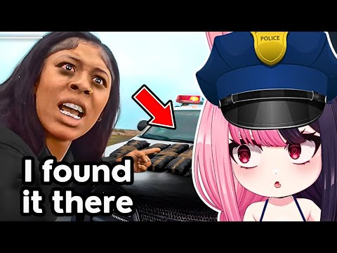 When Dumb Criminals Mess With Genius Cops...