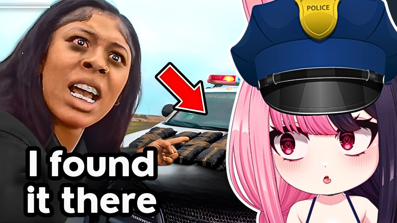 When Dumb Criminals Mess With Genius Cops...