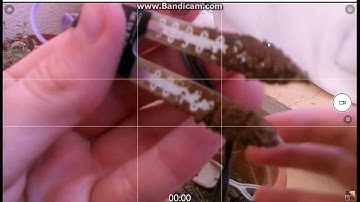 Toprak Nem Sensörü,Arduino Projeleri