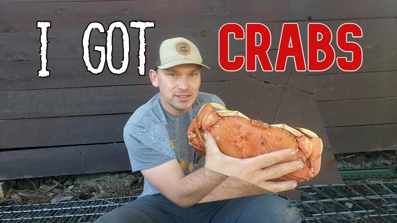 CATCHING fat CRABS for BEGINNERS-cheap DUNGENESS recipe-OREGON
