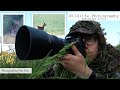 Wildlife Photography UK | Roe Deer & More!