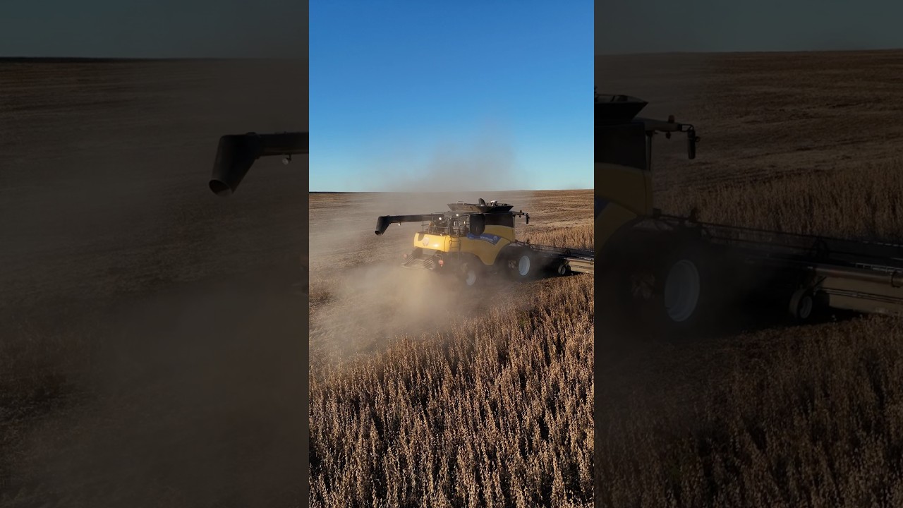 Why Investors Are Turning to Uruguay’s Farmland 