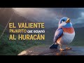 El valiente pajarito que desafió al huracán | Cuentos Para dormir | Cuentos Infantiles