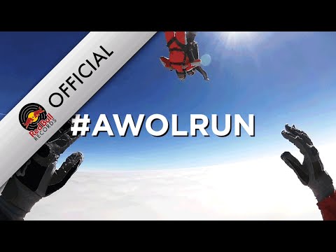 AWOLNATION Goes Skydiving with the Red Bull Skydive Team