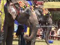 || WORLD ELEPHANT DAY 2011 || Marvelous video full HD