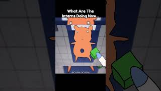 Intern Gives The Wrong Cure In Animal Hospital Anomaly Animation #roblox #animalhospital #update