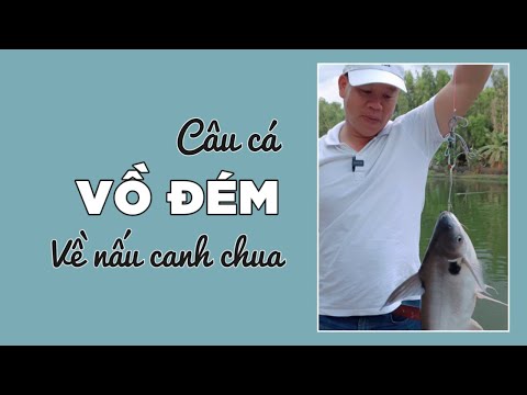 Câu Cá Vồ Đém Về Nấu Canh Chua #Shorts