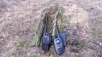 Эхо репитер-попугай. Radio-Tone simplex repeater controller model RT-SRC1.