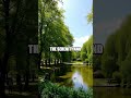 A Quick Day in Amsterdam&#39;s Cultural Gems