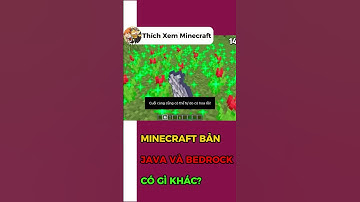 HOA TRONG MINECRAFT BẢN JAVA VÀ BEDROCK CÓ GÌ KHÁC? #minecraft #Thichxemminecraft