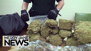 The Money Wasted Criminalizing Weed Could Fund a Space Program | MERRY JANE News