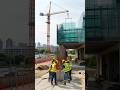The Complete Plaza Construction Process