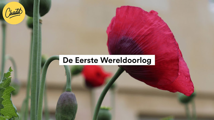 De Eerste Wereldoorlog - Mr. Chadd Academy