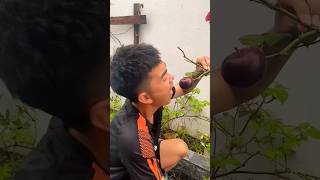 Ãn Hõng Ma Xuyt Ché.t Duói | Thai Chuõi 🤤 #shorts