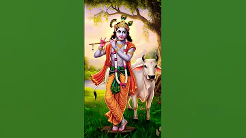 Dwakrika Ke Prabhu Krishna Love Bhakti Bhajan Krishnastatus 