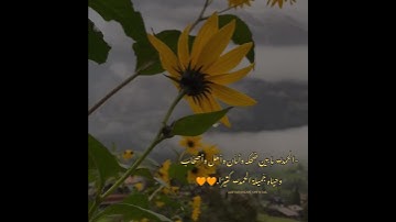 من سورة إبراهيم 🧡🧡 القارئ زياد أصلان..