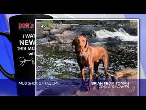 camera iphone 8 plus apk Mug shot of the day - 10/03/19 - Brian from Tomah