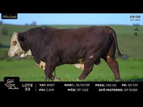 LOTE 033