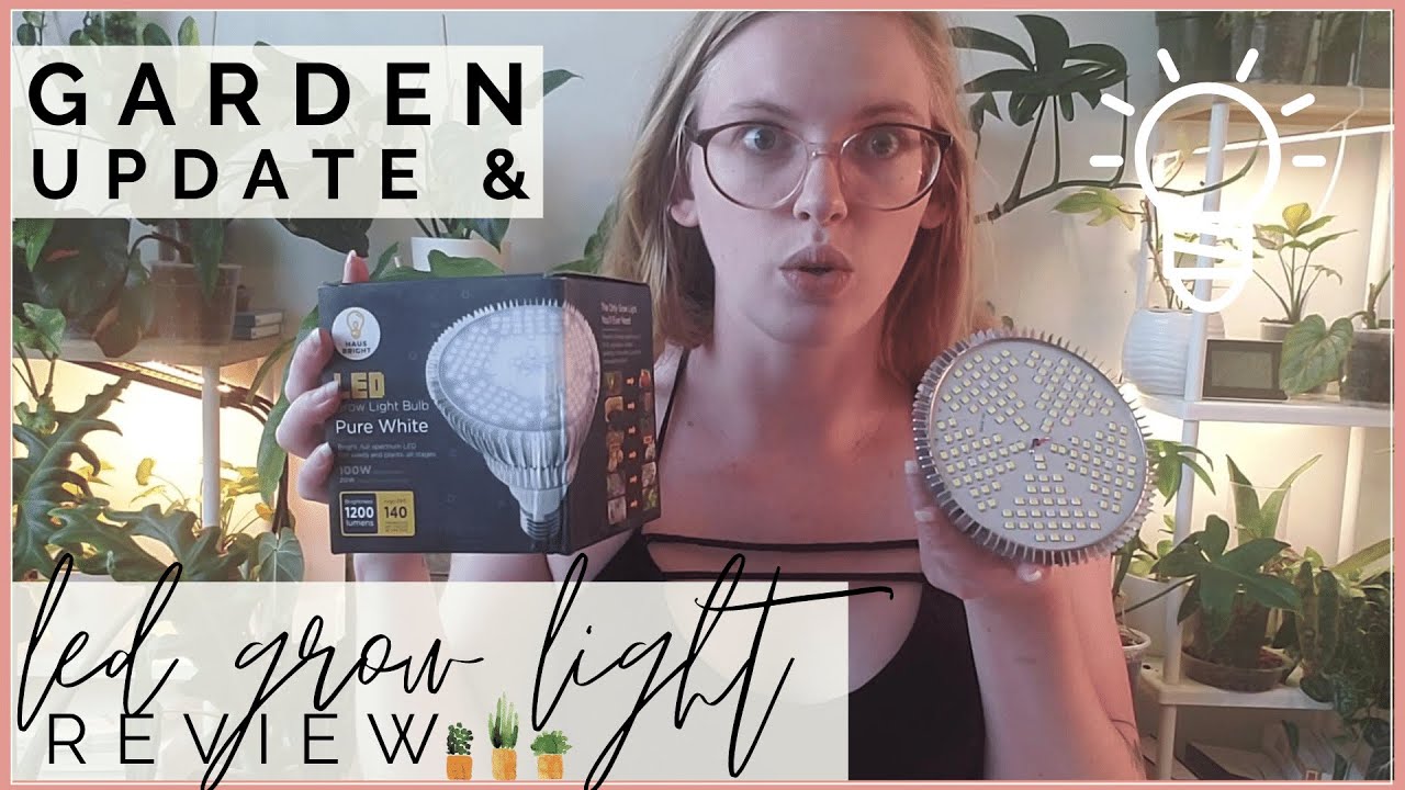 I Tested An LED Grow Light Bulb On My Herbs & Veggies Grow Bulb