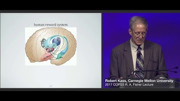 Brain Research is Underserved by Statistics