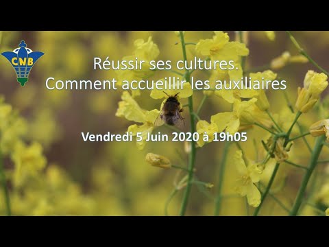 Vidéo: Dissuader les ravageurs de la faune - Camoufler les jardins pour éloigner les animaux