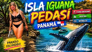 🌴 Exploring Isla Iguana, Pedasí 🇵🇦 | Whales, Wildlife & Paradise! 