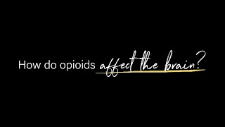 How Do Opioids Affect the Brain?