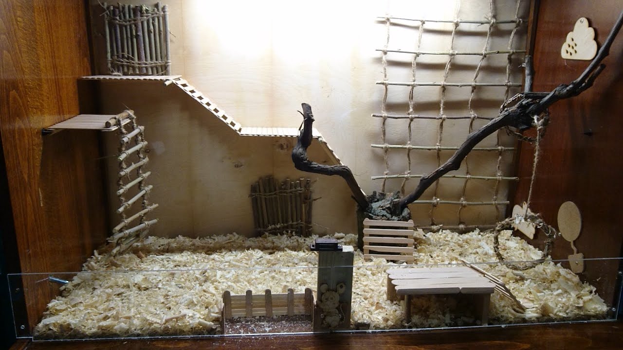 Новый дом для крыс / New rat house YouTube