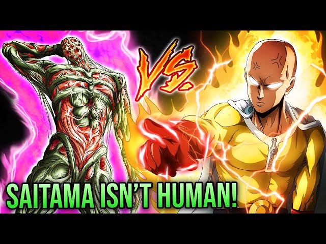 Tatsumaki's FULL POWER REVEALS Saitama's NEW Evolution in Godly Status (One  Punch Man) 