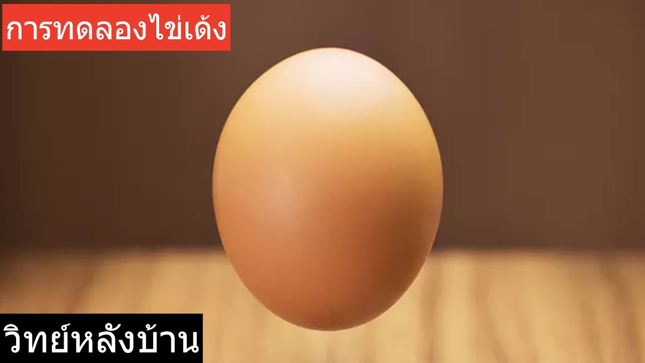 ⁣ทำไข่เด้งง่ายๆ แค่ 3 อย่าง | How To Make Bouncy Egg | ไข่ดิบเด้งได้ทำยังไง? วิทย์หลังบ้าน