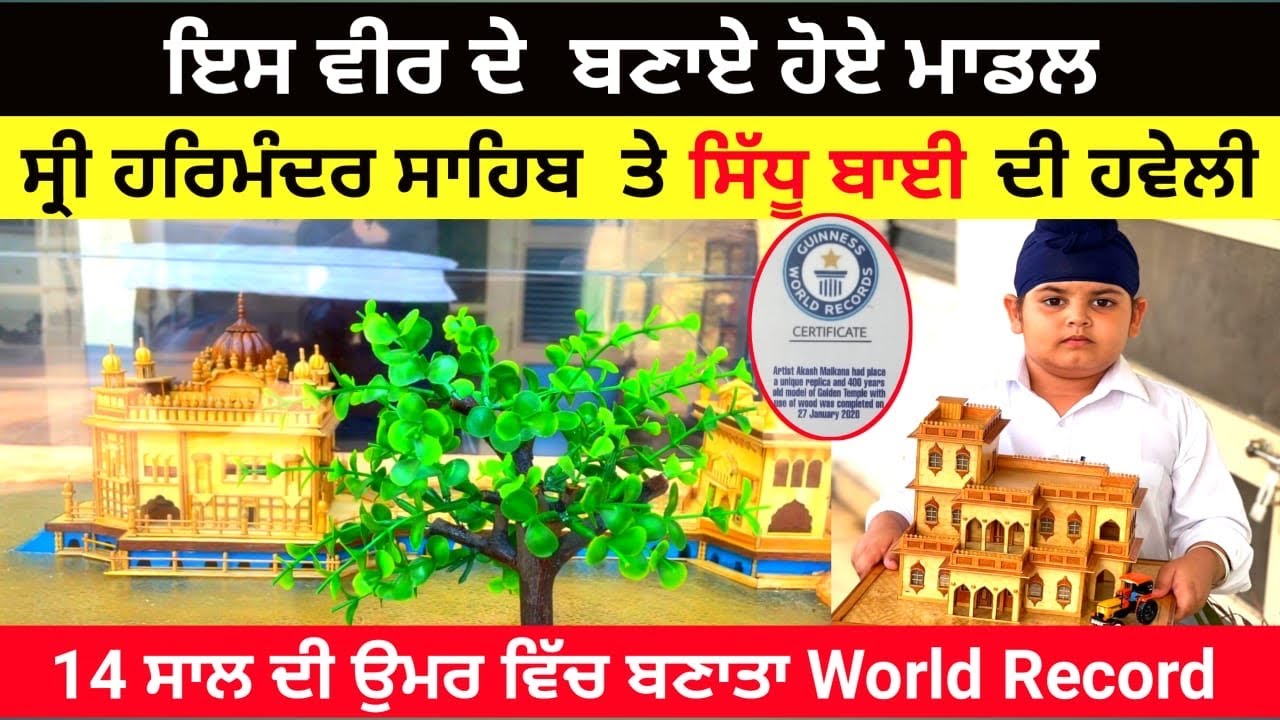 ਕਮਾਲ ਦੀ ਕਲਾ ਦਾ ਮਾਲਕ ਅਕਾਸ਼ ਮਾਲਕਾਣਾ