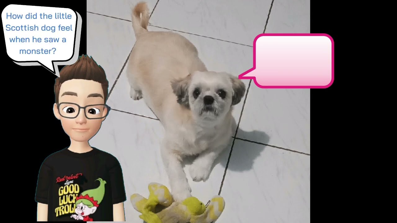 Exchanging Joke to my Dog - Top 10 Funny Dog Jokes | Pots RT