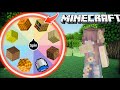 Spinning Wheel Chooses My Minecraft Build!