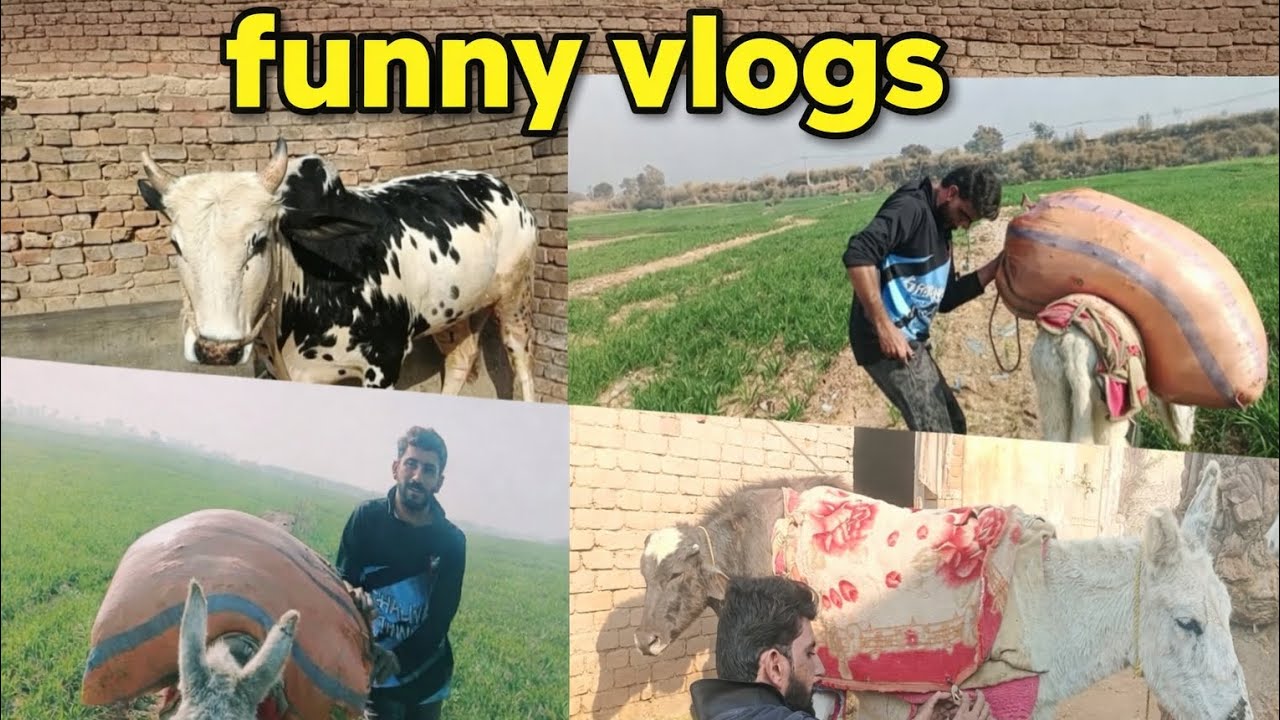 1Vlogs | Hansi Mazak Full | Must Watch2️⃣ 🤣 Funny 2Vlog | Aaj Ki Sab Se Funny Video | Zabardast