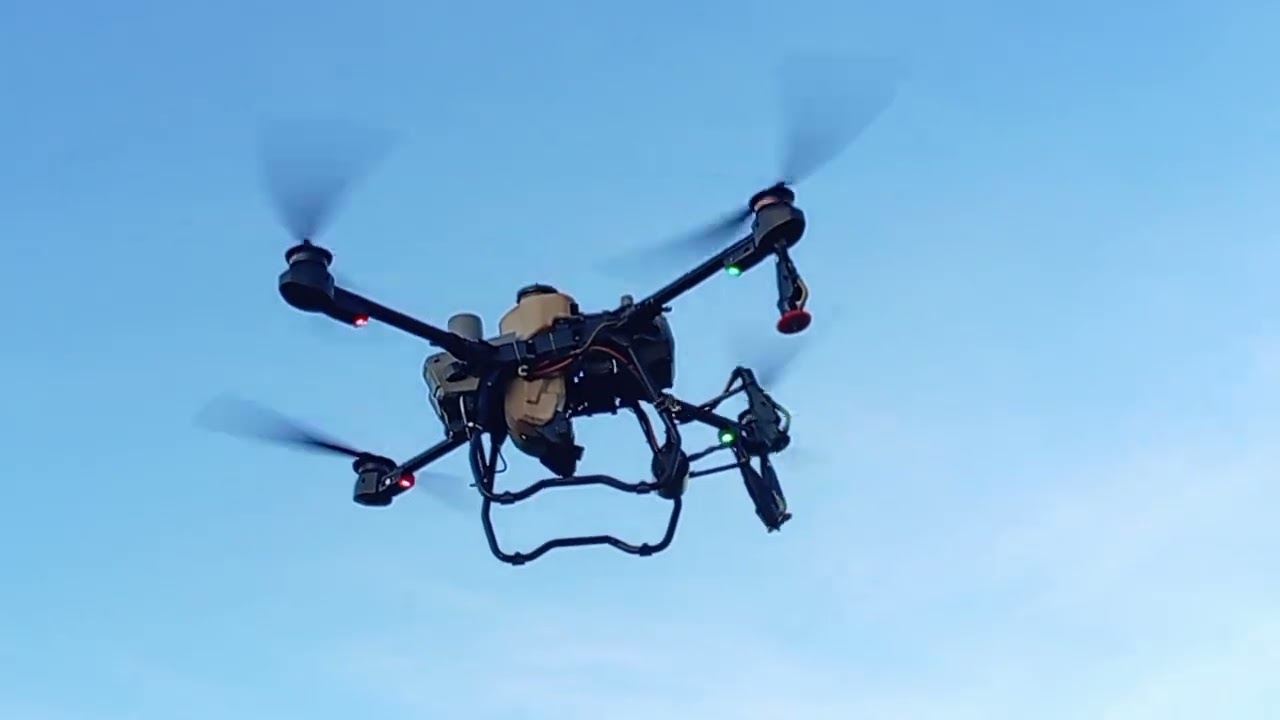 Mùng 2 tiết xic thuộc sâu