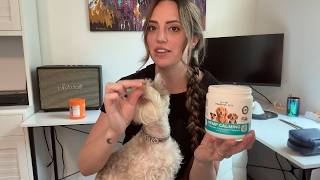 Calming pet chews for fireworks etc