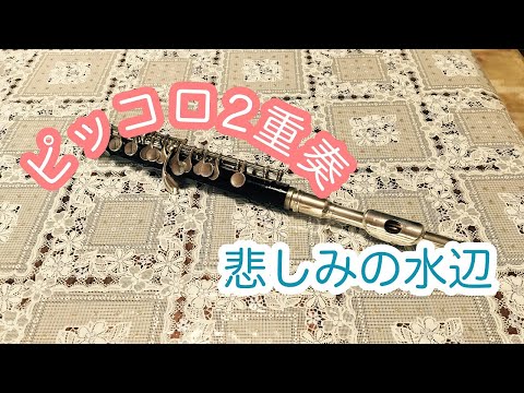 【ピッコロ2重奏】ピッコロ2重奏悲しみの水辺vlog