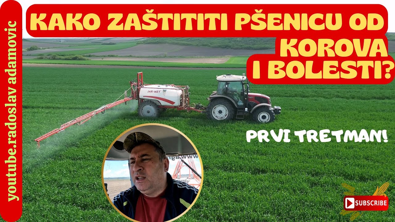 KAKO ZAŠTITITI PŠENICU OD KOROVA I BOLESTI? 1.TRETMAN ; HOW TO PROTECT WHEAT FROM WEEDS AND DISEASE?
