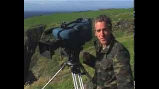 Noss NNR - Seabird Cities