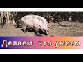 Наш основной вид деятельности.