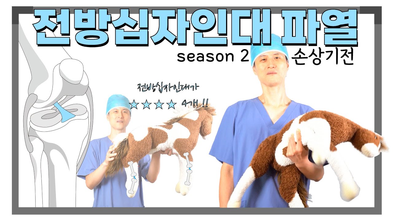 전방십자인대파열 2 시리즈 2 - 손상기전
