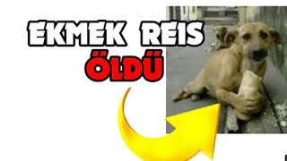 Ekmek Reis Ölmüs