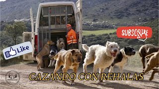 🎥 CAZANDO CON REHALAS #SialaCaza#🐕🐕🇪🇸