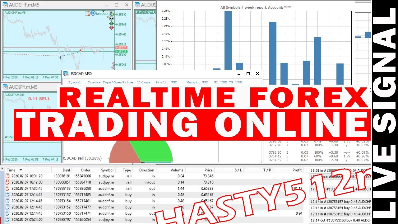 Hasty512 Forex Live Trading EA Broadcast.