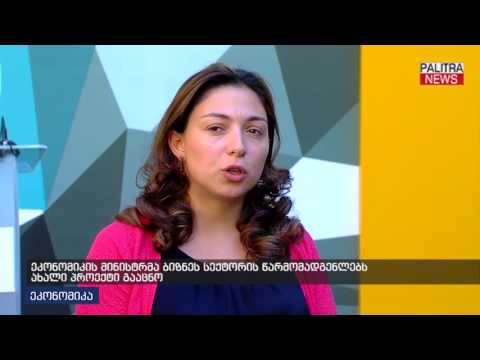 ეკონომიკის მინისტრმა ბიზნეს სექტორის წარმომადგენლებს ახალი პროექტი გააცნო